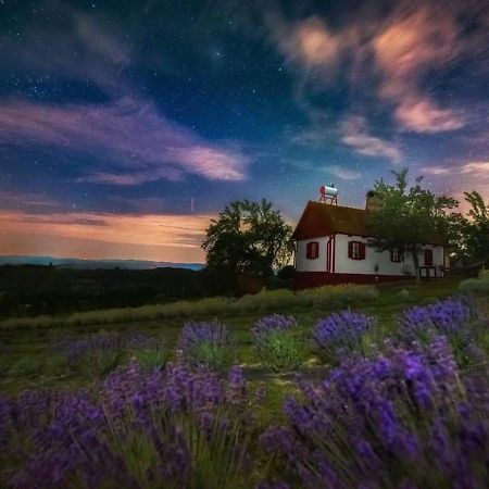 Lavanda Carasova Crasova Exteriör bild
