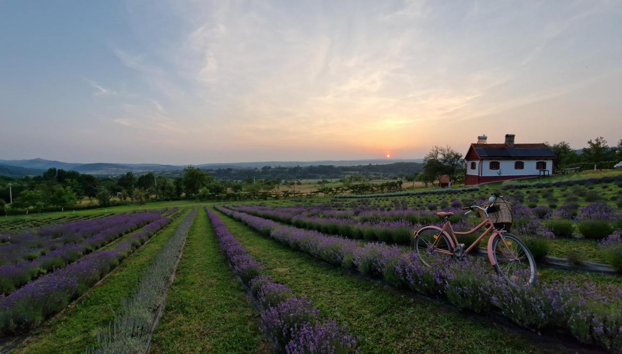 Lavanda Carasova Crasova Exteriör bild