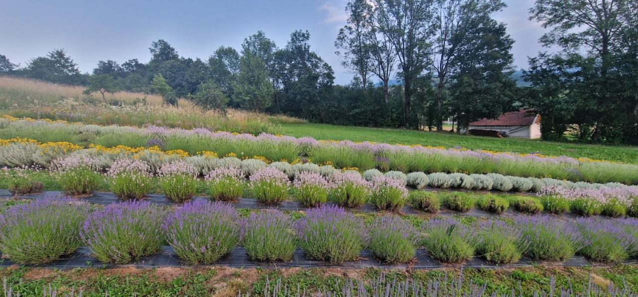 Lavanda Carasova Crasova Exteriör bild