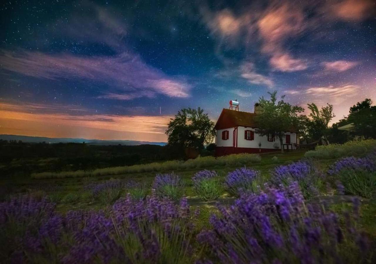 Lavanda Carasova Crasova Exteriör bild