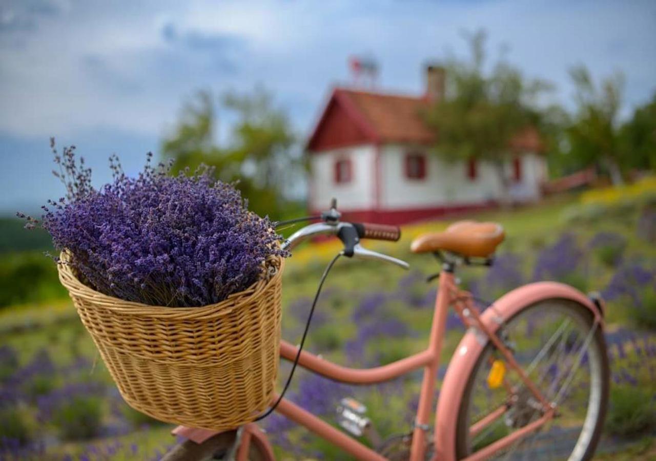 Lavanda Carasova Crasova Exteriör bild